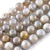 Natural Labradorite Beads Strands G-G212-8mm-23-4