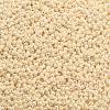 TOHO Round Seed Beads SEED-TR11-0123-2