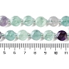 Natural Fluorite Beads Strands G-N342-04-5