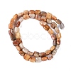 Natural Crazy Lace Agate Beads Strands G-M435-A04-01-3