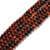 Natural Carnelian Beads Strands X-G-B079-A03-01-1