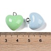 Opaque Resin Pendants RESI-H162-07P-03-3