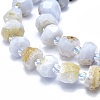 Natural Blue Lace Agate Beads Strands G-F715-032A-3