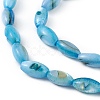 Natural Freshwater Shell Dyed Beads Strands SHEL-M018-13-01-3
