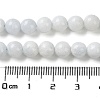 Natural Celestite/Celestine Beads Strands G-M414-A01-02-4