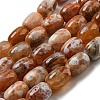 Natural Dragon Veins Agate Beads Strands G-A223-D11-01E-1