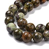 Natural Green Opal Beads Strands G-C242-01D-4