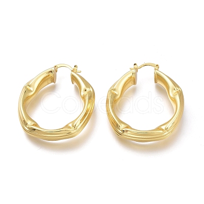 Brass Hoop Earrings EJEW-H104-14G-1