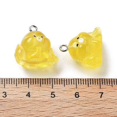 Resin Pendants RESI-A041-01B-1