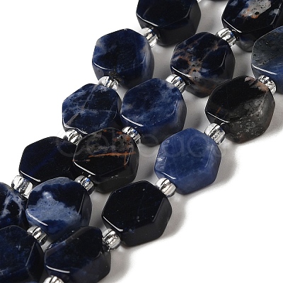 Natural Sodalite Beads Strands G-P534-A11-02-1