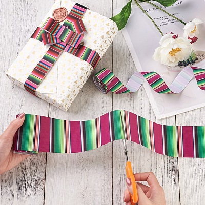 2Rolls 2 Styles Stripe Pattern Printed Polyester Grosgrain Ribbon OCOR-TA0001-37M-1