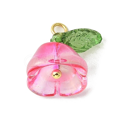 Transparent Acrylic Pendants PALLOY-TA00093-1