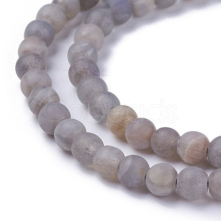 Natural Labradorite Beads Strands G-G772-04-E-1