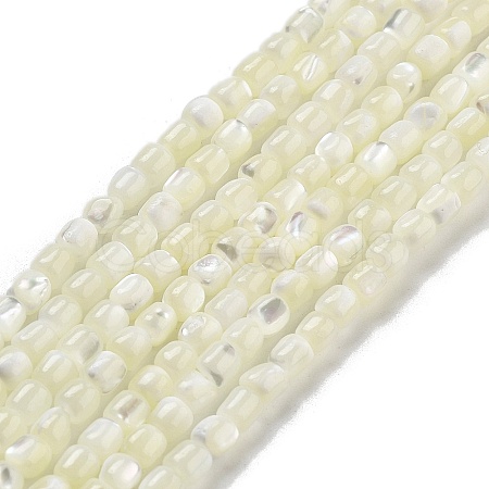 Natural Trochid Shell/Trochus Shell Beads Strands BSHE-G038-01-1