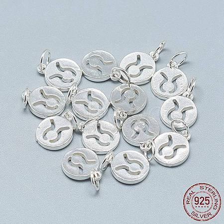 925 Sterling Silver Charms STER-T002-44S-01-1
