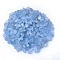 Natural Celestite Chip Display Decoration, 30~50mm