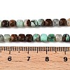 Natrual Green Opal Beads Strands G-N342-121-5