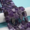 Natural Amethyst Beads Strands G-Z043-A04-01-2