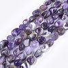 Natural Amethyst Beads Strands X-G-T105-33-1