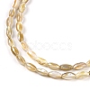 Natural Freshwater Shell Beads Strands BSHE-G036-03-3