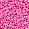 Baking Paint Glass Seed Beads SEED-B001-02A-01-3