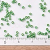 MIYUKI Delica Beads SEED-JP0008-DB0046-2