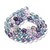 Natural Fluorite Beads Strands G-K345-B02-02-3