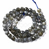 Natural Labradorite Beads Strands G-T108-61-2