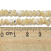 Natural Trochus Shell Beads Strands SSHEL-H072-13A-4