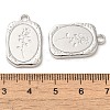 Alloy Pendants PALLOY-P303-22P-3