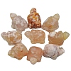 Natural Agate Tortoise Display Decorations PW-WG50064-01-1