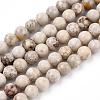 Natural Maifanite/Maifan Stone Beads Strands G-F353-8mm-5