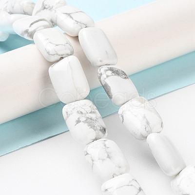 Natural Howlite Beads Strands G-K357-D05-01-1