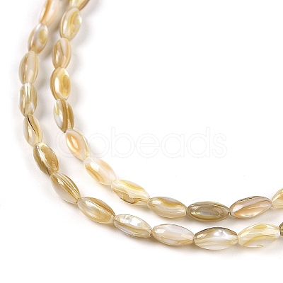 Natural Freshwater Shell Beads Strands BSHE-G036-03-1