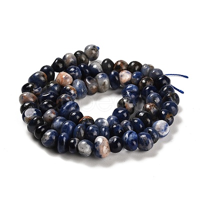 Natural Sodalite Beads Strands G-G053-C04-01-1