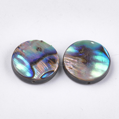 Abalone Shell/Paua Shell Beads SSHEL-T008-06B-1