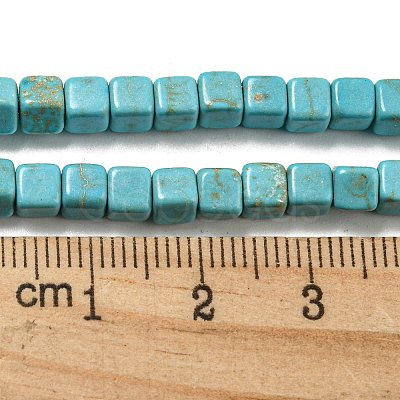 Dyed Synthetic Turquoise Beads Strands G-G075-B02-03-1