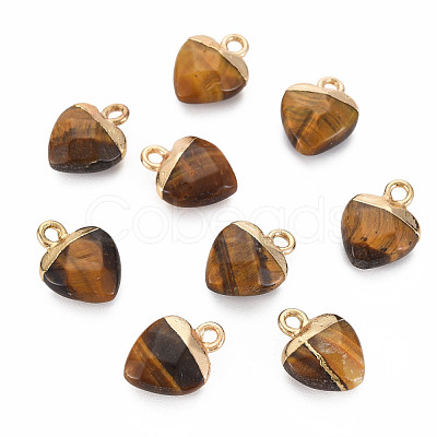 Natural Tiger Eye Charms G-N326-121-04-1