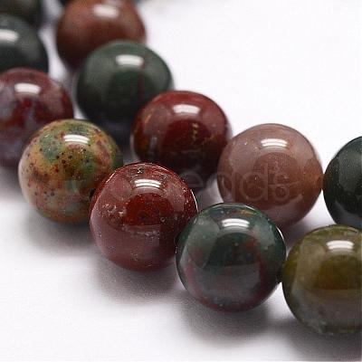 Natural Indian Bloodstone Beads Strands G-G954-02-10mm-1