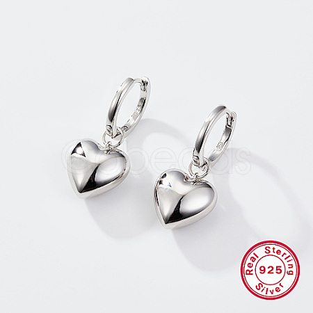 Sterling Silver Hoop Earrings ZQ9418-1