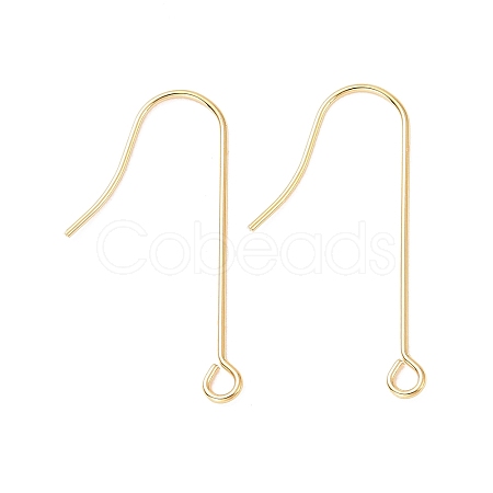316 Surgical Stainless Steel Earring Hooks X-STAS-E027-02B-G-1