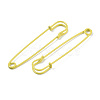 Spray Painted Iron Safety Pins IFIN-T017-09M-2