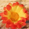 Artificial Silk Chrysanthemum Daisy Flowers Heads DIY-WH0210-03G-1