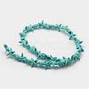 Synthetic Howlite Bead Strand G-P228-16-2