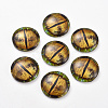 Glass Cabochons GLAA-WH0015-22D-06-2