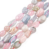 Natural Morganite Beads Strands X-G-R445-8x10-28-1