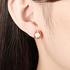 Shell Shape Tin Alloy and Round Imitation Pearl Stud Earrings EJEW-BB16330-7