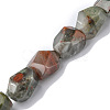 Natural Afican Bloodstone Beads Strands G-F743-04F-1