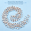   Natural Sea Shell Beads Strands SHEL-PH0001-41-4