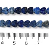 Dyed Natural Lapis Lazuli Beads Strands G-M403-A30-02-5